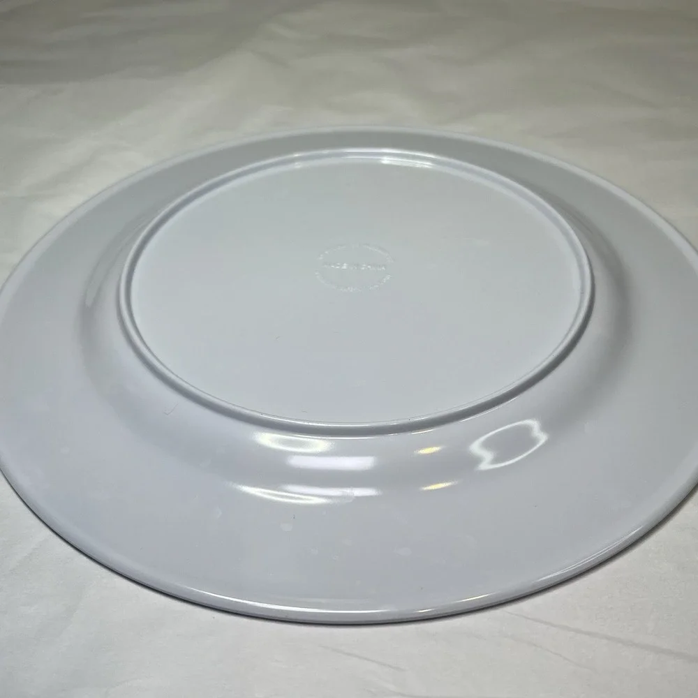 Real Appeal Portion Plate Weight Control Loss Healthy Eating Melamine 10